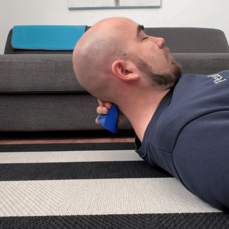 KarlssonRelief Nackstöd